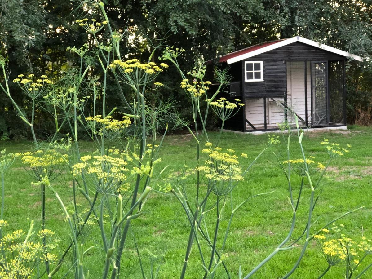 Het Leeuwterveld Bed & Breakfast Sint Jansklooster Bagian luar foto