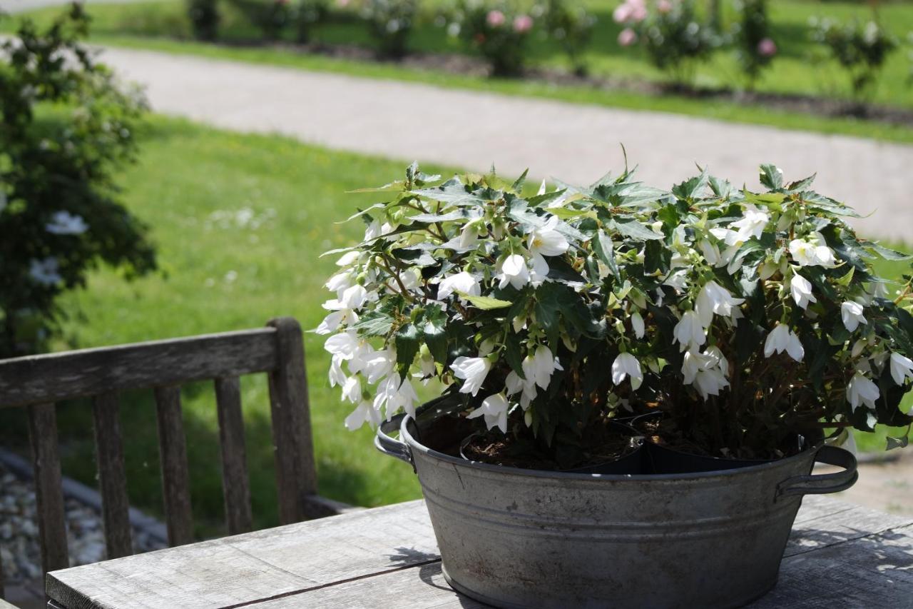 Het Leeuwterveld Bed & Breakfast Sint Jansklooster Bagian luar foto