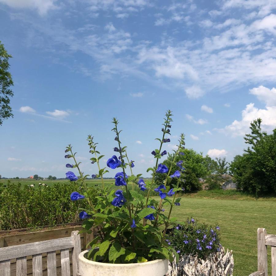 Het Leeuwterveld Bed & Breakfast Sint Jansklooster Bagian luar foto